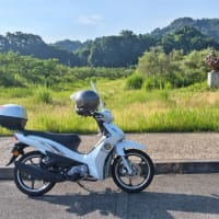 今日は
