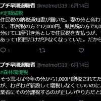 定額減税は実感に乏しい