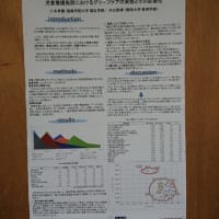 日本福祉心理学会第17回大会＠東京家政大学