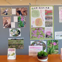 桜環境センターで「さくらエコまつり」が始まりました