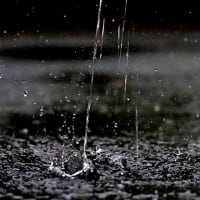 14日、千本釈迦堂から立本寺、平野神社への散歩で梅雨だより＆癌治療