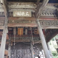 慈光寺「秋海棠」