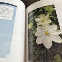 書籍化