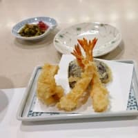 7/11　　「銀座つな八」でランチ