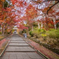 『治療』させていただけませんか。