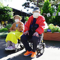 家族で動物園