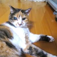「タフ・ネゴシエイター」