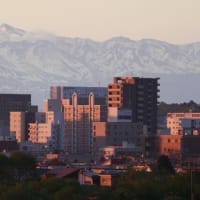 5月の朝