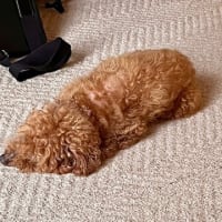 ６月22日 サマータイム散歩