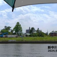 新中川(5月21日) 流れ浮子釣行！