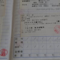２０　息子さん介護の性差問題？（４）