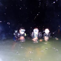 7月17日（水）超弾丸！日帰り大田ナイトダイビングツアー！