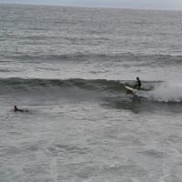 SURFCAMP