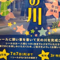 7月7日の七夕