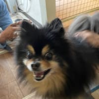 最悪の朝