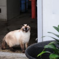 入り口で