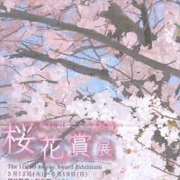 「第11回 桜花賞」／郷さくら美術館