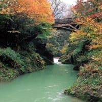 リブマックスリゾート加賀山代　石川県　人気の観光スポット