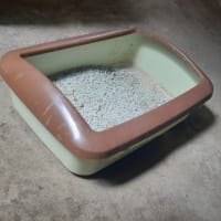 ネコ砂のケース