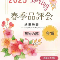 2025/03/29