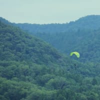 空に飛ぶ