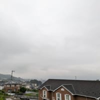 波邇耶須比売神の言葉　　　　Wさんとあれこれ喋ってました