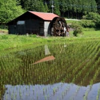 日光市大室 杉線香の水車小屋 - out of curiosity 日光市大室 杉線香の水車小屋 - out of curiosity
