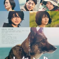 『少年と犬』
