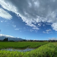 2025年06月26日　虹を見る