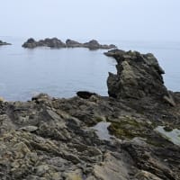 小舟渡