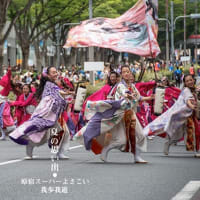 ご無沙汰の元気祭り。