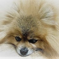 160 万円の壁になると暮らしはどう変わる