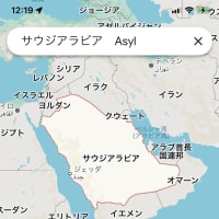 ​支配者は身を隠すのに必死です‼️　2025/06/26