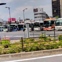 自由日