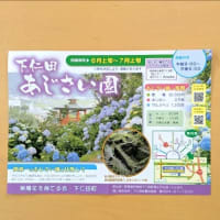 2025初夏の軽井沢旅行2日目（その3）