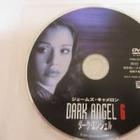 ダーク・エンジェル　DVDBOX
