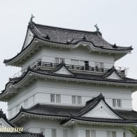 難攻不落の城と言われた「小田原城天守」の威容！！