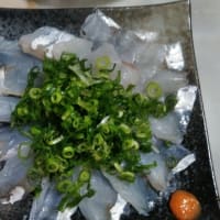 鯛の塩焼き、マゴチの刺身、アマダイの塩汁