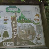 ネタを求めて、うろうろドライブ、、、