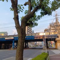 本日も浪速区今宮戎上空地震雲。連日地震雲が出ているので７月５日には大阪は多少揺れるかも。