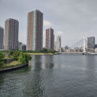 隅田川沿いを朝散歩