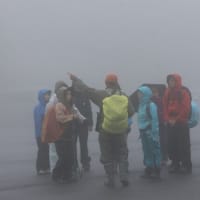 6月14日　”梅雨の頃「花」と「眺望」・「地形」を楽しむ観察会～赤城山地蔵岳・小沼・長七郎山を歩く～”　は無事終了しました