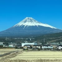今年の抱負(🔥ｰ🔥)