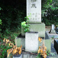 清水一家の平井亀吉・黒駒勝蔵襲撃事件