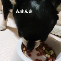 可愛い昔乙女
