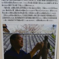 大宰府市の散策記　on　2025-4-9＆4-10　その8　大宰府展示館