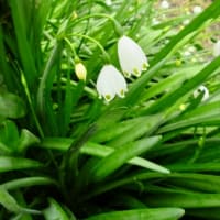 5月の振り返り
