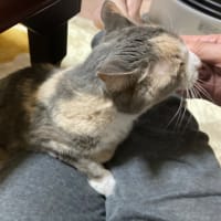 いくつになっても甘えん坊