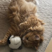 家族記念日