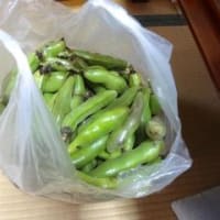 七色野草茶